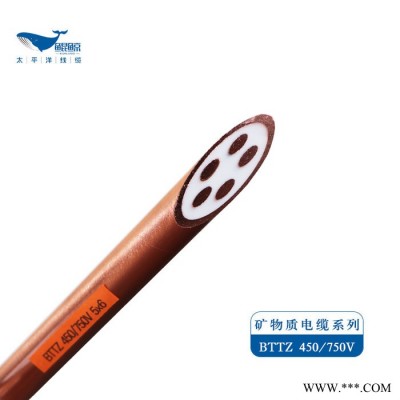 防火电缆厂家BTTZ矿物质防火电缆价格铜芯电力电缆图4