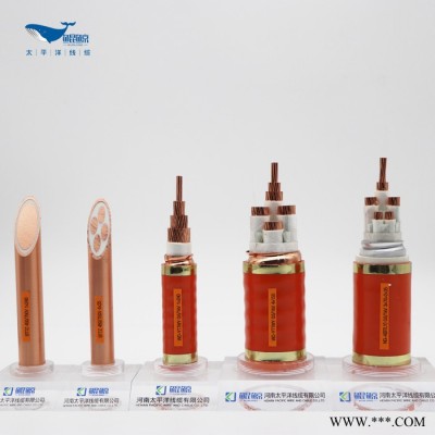 防火电缆厂家BTTZ矿物质防火电缆价格铜芯电力电缆图6