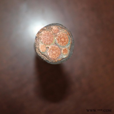 【天联品牌】YZW-6*6电动工具专用电缆国标电缆图8