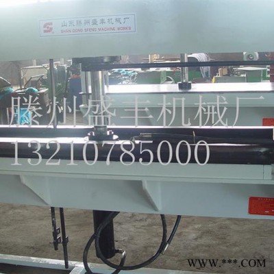 滕州盛丰供应YM-200T龙门液压机，200吨压装龙门压力机图6