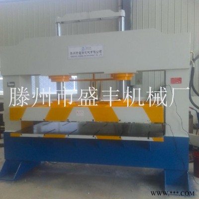 供应滕州盛丰200吨液压机双缸压力机 叶板压制成型液压机 龙门冲孔油压机图7