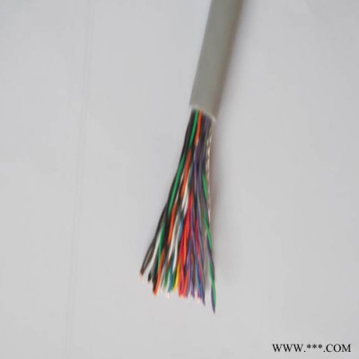 SBVVP24*2*0.4 屏蔽交换机信号电缆 国标电缆图4