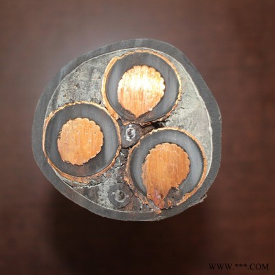 【天联品牌】YVFR-2*300电动工具专用电缆按需定做图7