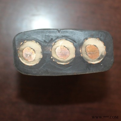 【天联品牌】YCP8*6橡胶屏蔽电缆国标电缆图5