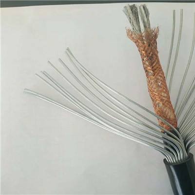 计算机电缆 ZAN-DJYVP3 电缆电线 补偿电缆 TICW/06-2009图4