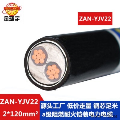 金环宇电缆 ZAN-YJV22-2X120平方 阻燃a级耐火铜芯铠装二芯电缆图3