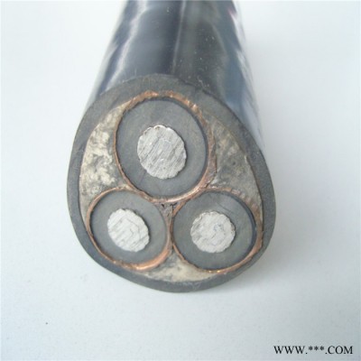 【天联品牌】YCW-4*400电动工具专用电缆按需定做图7