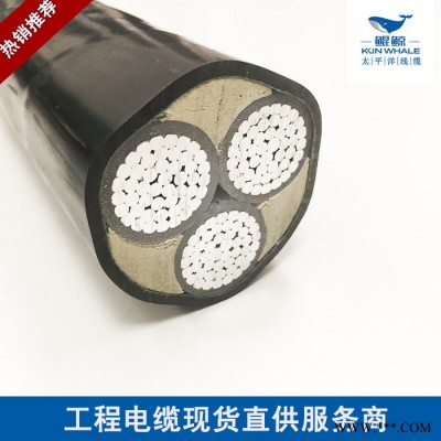 河南电缆厂家直供鲲鲸35平方铝电缆价格图2