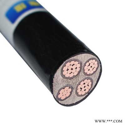 深圳金环宇电缆YJV3*50+1*25电缆工程用电缆建材专用电缆图2