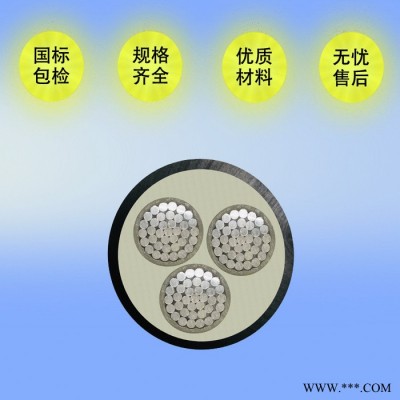 厂家供应铝芯电缆 YJLV 3X70 电力电缆 电缆厂家图4