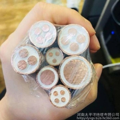 矿物绝缘类不燃性电缆 矿物质防火电缆 防火电缆价格图2
