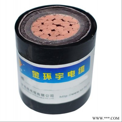金环宇电缆国标铜芯电缆N-VV22-1*70 深圳金环宇电缆厂家批发 电力电缆图5