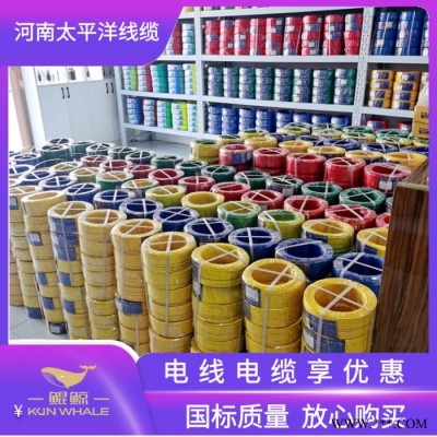 电线电缆厂家 电缆生产厂家 电线电缆生产厂家图4