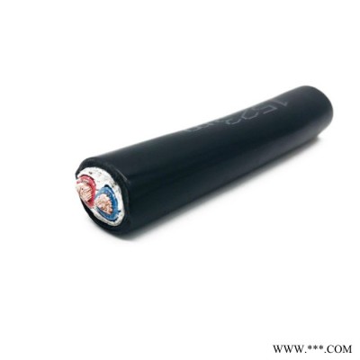 金环宇电线电缆**N-VVR 2*300电缆，两芯软电缆 深圳金环宇电缆图2