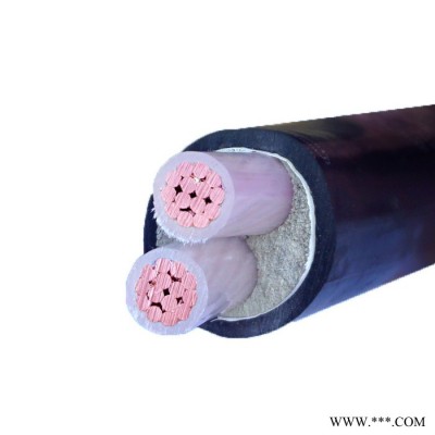 金环宇电缆YJV系列YJV2*300电缆深圳金环宇电缆质量图2