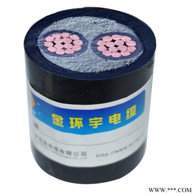 金环宇电缆 铜芯yjv电缆 ZA-YJV 2X6平方 阻燃电缆 低压电力电缆图5