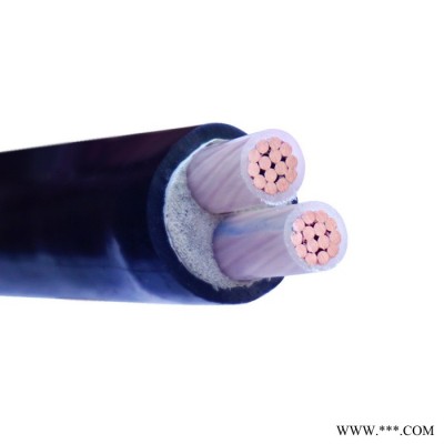 金环宇电缆 铜芯yjv电缆 ZA-YJV 2X6平方 阻燃电缆 低压电力电缆图2