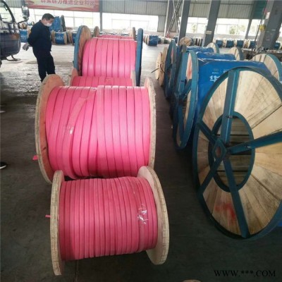 【天联品牌】YGCB 铜芯硅橡扁电缆国标电缆图2