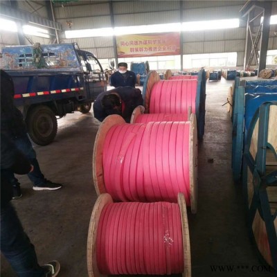 【天联品牌】YGCB 铜芯硅橡扁电缆国标电缆图4