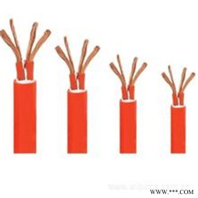 【天联品牌】YGCB 铜芯硅橡扁电缆国标电缆图8