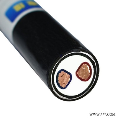 金环宇电缆厂家特价耐火电缆N-VV22-2*300深圳市金环宇电缆图4