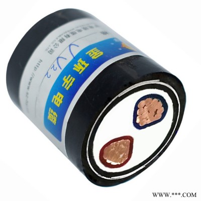 金环宇电缆厂家特价耐火电缆N-VV22-2*300深圳市金环宇电缆图2