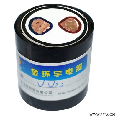 金环宇电缆厂家特价耐火电缆N-VV22-2*300深圳市金环宇电缆图5