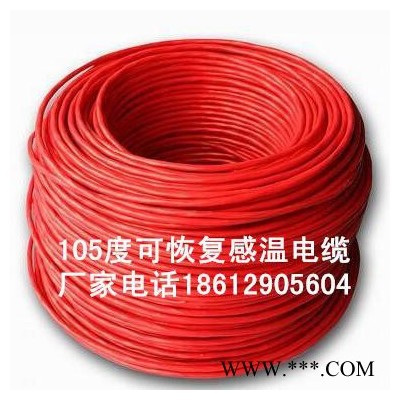 沈阳电缆HYA100*2*0.5 室外大对数电缆图2