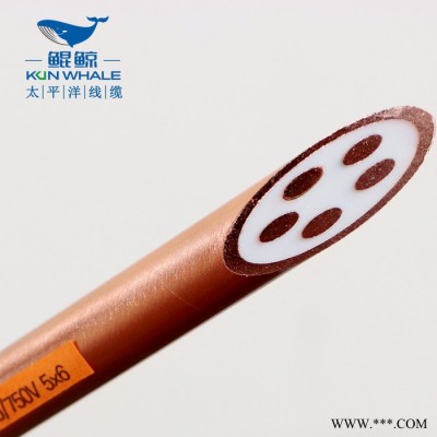 防火电缆BTTZ5x6 矿物质电缆铜芯矿物绝缘电缆图1