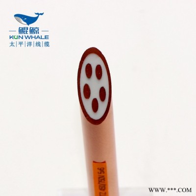 防火电缆BTTZ5x6 矿物质电缆铜芯矿物绝缘电缆图4