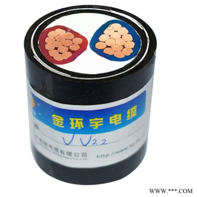 金环宇电缆 二芯铠装电缆价格ZAN-VV22-2X240电力电缆阻燃耐火图3