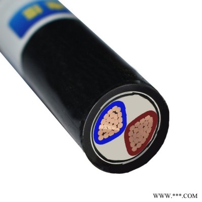 金环宇电缆 二芯铠装电缆价格ZAN-VV22-2X240电力电缆阻燃耐火图2