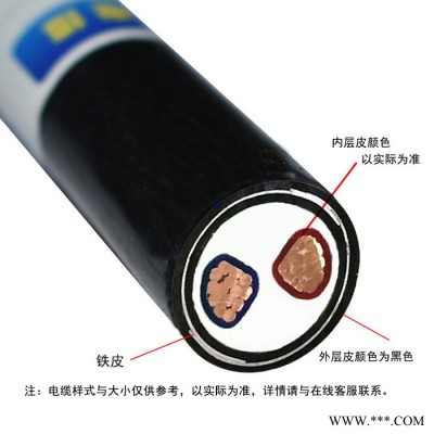 金环宇电缆 二芯铠装电缆价格ZAN-VV22-2X240电力电缆阻燃耐火图5