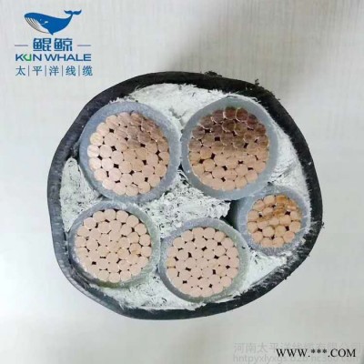 电力电缆厂家直供YJV3X70+2X35电缆现货国标阻燃低压电缆价格图4