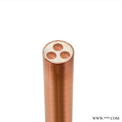 工程应急用电缆   BTTZ 3X6 防火电缆 电线电缆 ** 国标图2