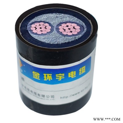 金环宇电缆国标铠装电线电缆WDZ-YJY23-2*4mm2 深圳金环宇电缆厂家 电力电缆图5