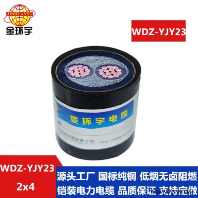 金环宇电缆国标铠装电线电缆WDZ-YJY23-2*4mm2 深圳金环宇电缆厂家 电力电缆图1