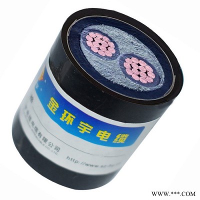 金环宇电缆 铠装电力电缆yjv22阻燃耐火电缆ZBN-YJV22-2X95平方图7