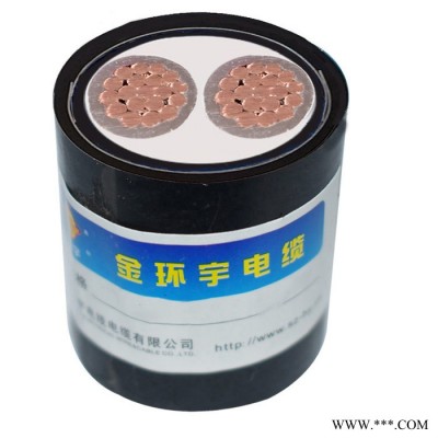 金环宇电缆 铠装电力电缆yjv22阻燃耐火电缆ZBN-YJV22-2X95平方图5