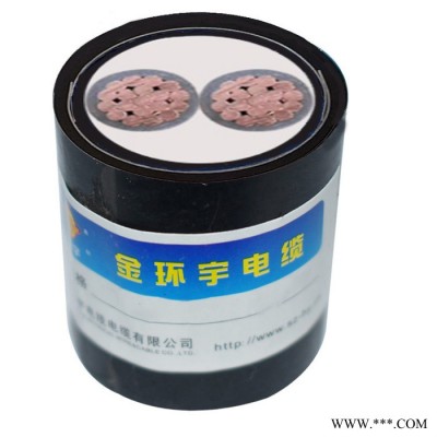 金环宇电缆 铠装电力电缆yjv22阻燃耐火电缆ZBN-YJV22-2X95平方图2