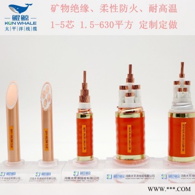 河南防火电缆 矿物绝缘防火电缆厂家图2