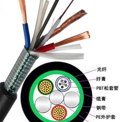 恒光 计算机屏蔽电缆DJVPVP4*2.5电缆价格图2