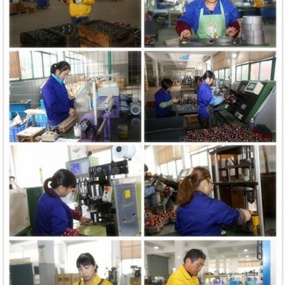 供全国电动工具电机磨链机专用电机图2