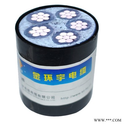 金环宇电缆 ZCN-YJV 5X50平方 5芯yjv电力电缆 国标 阻燃耐火电缆图2