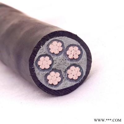 金环宇电缆 yjv电力电缆 国标ZCN-YJV 5X120平方 阻燃耐火电线电缆图2