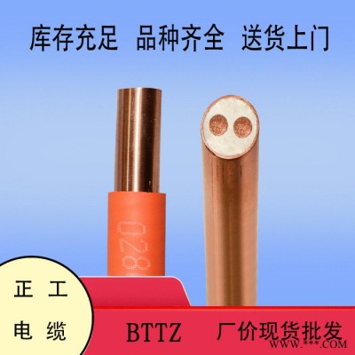低烟无卤防火电缆   BTTZ 2X6 防火电缆 电线电缆 **图1