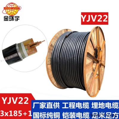深圳金环宇电缆YJV22 3*185+1*95电缆价格,YJV22电缆厂家图2