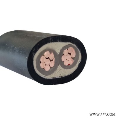 金环宇 yjv电力电缆 WDZAN-YJY 2X4 低烟无卤电缆 阻燃耐火电缆图4