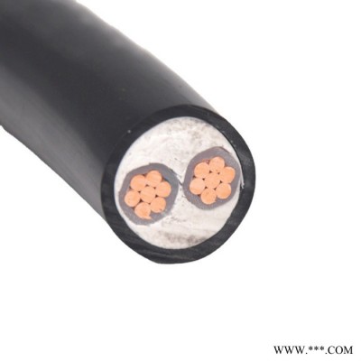金环宇 yjv电力电缆 WDZAN-YJY 2X4 低烟无卤电缆 阻燃耐火电缆图6