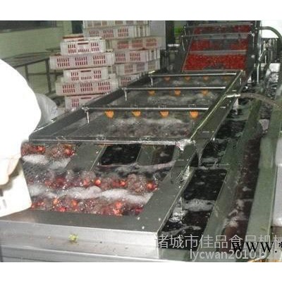 佳品机械 净菜清洗线 蔬菜加工设备生产线，蔬菜加工成套设备，速冻蔬菜加工设备图3